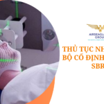 thu tuc nhap khau bo co dinh xa phau SBRT