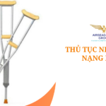 thu tuc nhap khau nang nach