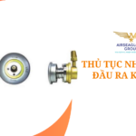 thu tuc nhap khau dau ra khi y te