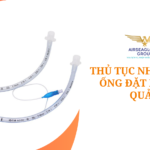 thu tuc nhap khau ong dat noi khi quan