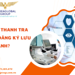 NỘI DUNG THANH TRA HẬU KIỂM ĐĂNG KÝ LƯU HÀNH - MS LINH ĐAN 0973189870 (ZALO/TEL)
