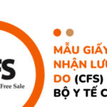 MẪU GIẤY CHỨNG NHẬN LƯU HÀNH TỰ DO (CFS) CHUẨN DO BỘ Y TẾ CUNG CẤP