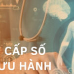 QUY TRÌNH CẤP SỐ ĐĂNG KÝ LƯU HÀNH MỚI NHẤT