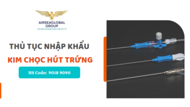 KIM CHỌC HÚT TRỨNG