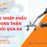 BỘ NONG THẬN TÁN SỎI QUA DA