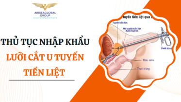 LƯỠI CẮT U TUYẾN TIỀN LIỆT