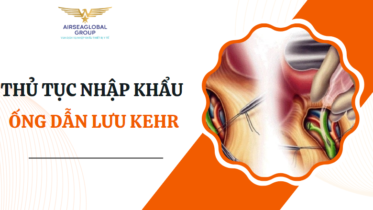 ống dẫn lưu kehr