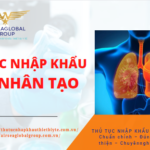 PHỔI NHÂN TẠO