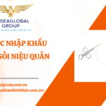 THỦ TỤC NHẬP KHẨU RỌ LẤY SỎI NIỆU QUẢN