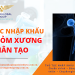 BỘ CHỎM XƯƠNG NHÂN TẠO