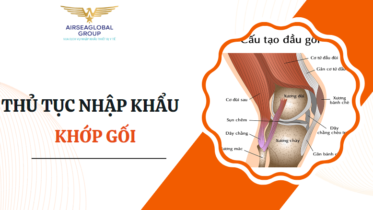 nhập khớp gối