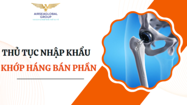 khớp háng bán phần