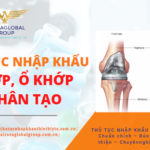 KHỚP, Ổ KHỚP NHÂN TẠO