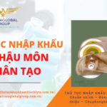 Túi hậu môn nhân tạo