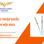 THỦ TỤC NHẬP KHẨU TRÂM NỘI NHA
