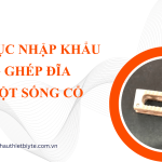 THỦ TỤC NHẬP KHẨU ĐĨA ĐỆM TRONG PHẪU THUẬT CỘT SỐNG