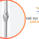 THỦ TỤC NHẬP KHẨU GÂN NHÂN TẠO