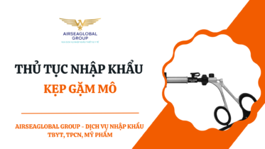 THỦ TỤC NHẬP KHẨU KẸP GẶM MÔ