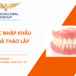 THỦ TỤC NHẬP KHẨU HÀM GIẢ THÁO LẮP
