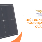 thu tuc nhap khau tam nhan anh x-quang