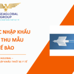 THỦ TỤC NHẬP KHẨU CHỔI THU MẪU TẾ BÀO