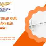 THỦ TỤC NHẬP KHẨU KIM ĐÁNH DẤU KHỐI U