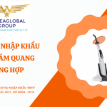 THỦ TỤC NHẬP KHẨU ĐÈN TRÁM QUANG TRÙNG HỢP