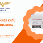 THỦ TỤC NHẬP KHẨU BỘT IN NHA KHOA
