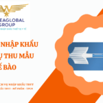 THỦ TỤC NHẬP KHẨU DỤNG CỤ THU MẪU TẾ BÀO