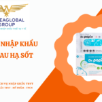 THỦ TỤC NHẬP KHẨU KHĂN LAU HẠ SỐT