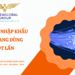 THỦ TỤC NHẬP KHẨU SỢI QUANG DÙNG MỘT LẦN