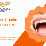 THỦ TỤC NHẬP KHẨU THUN CHỈNH NHA