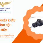 THỦ TỤC NHẬP KHẨU ỐNG KÍNH NỘI SOI MỀM