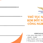 thu tuc nhap khau Kim đốt nhiệt bằng công nghệ vi sóng