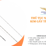 thu tuc nhap khau kim gay te tuy song