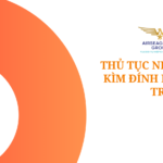 thu tuc nhap khau kim dinh kep that tri