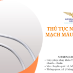 thu tuc nhap khau mach mau nhan tao