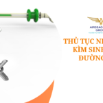 thu tuc nhap khau kim sinh thiet duong mat