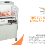 thu tuc nhap khau long ap tre so sinh