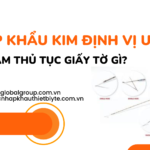 NHẬP KHẨU KIM ĐỊNH VỊ U VÚ CẦN LÀM THỦ TỤC GIẤY TỜ GÌ