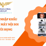 THỦ TỤC NHẬP KHẨU HỆ THỐNG MÁY NỘI SOI TAI MŨI HỌNG
