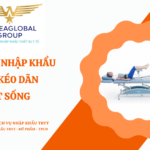 THỦ TỤC NHẬP KHẨU MÁY KÉO DÃN CỘT SỐNG