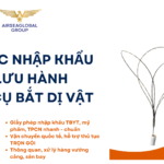 THỦ TỤC NHẬP KHẨU VÀ LƯU HÀNH DỤNG CỤ BẮT DỊ VẬT