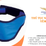 thu tuc nhap khau yem chi