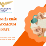 THỦ TỤC NHẬP KHẨU BĂNG GẠC CALCIUM ALGINATE