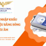 THỦ TỤC NHẬP KHẨU MÁY TRỊ LIỆU BẰNG SÓNG SIÊU ÂM