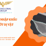 THỦ TỤC NHẬP KHẨU VỢT HỚT DỊ VẬT
