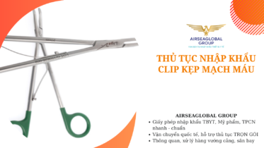 thu tuc nhap khau clip kep mach mau