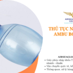 thu tuc nhap khau ambu bop bong