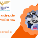 THỦ TỤC NHẬP KHẨU MÁNG ÉP CHỈNH NHA